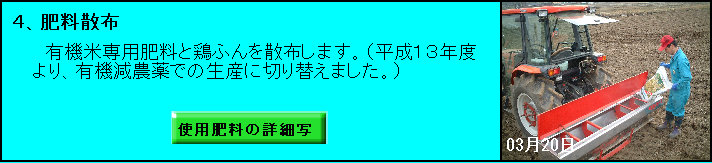 �S�A�엿�U�z