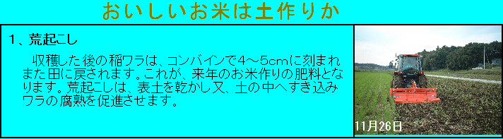 �P�A�r�N����