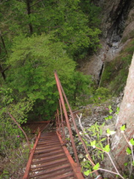 �����̒�q���A��