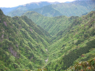 �o���ė���������U��Ԃ�