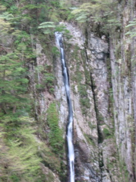 �o��m���