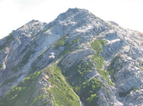 ��Õ􂩂�]�ލb���