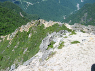 ���o���[�g