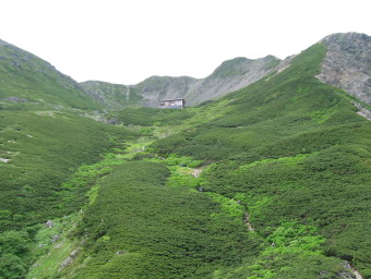 ����J�[��