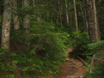 ���������̓o��