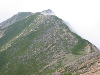 ��V��x�ɑ����c���H