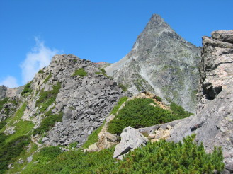 �����������猩�������x