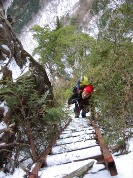 ���x���̂���͂���