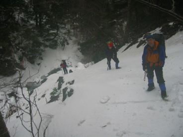 �͌������`�T��