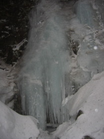 �����t��