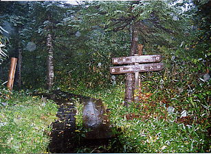 �����x�o�R��