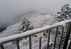 ����x����