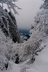 ����̃L���b�g