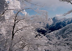 �啁���x���]