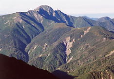 �_�����猩�������x