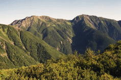 �x�m�������猩���r��x