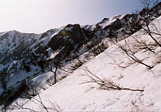 �U���ڂ���̓W�]