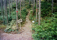 ���x�o�R��