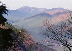 �R�����猩�������R