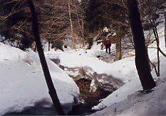 �����ւ̓�