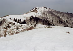 ���ރ��x�����