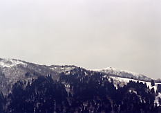 ���ރ��x�i�E���j