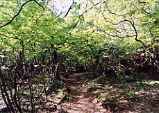 �U���ڕt��