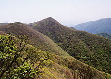 �V��₩�猩�������x�W�]�u