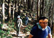 ���炾��ȓo��