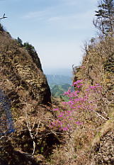 ����̃L���b�g