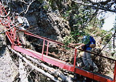 ����R�̓o��