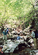 �����Q��J