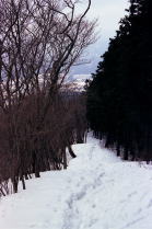 �֒J�K��ւ̓o��