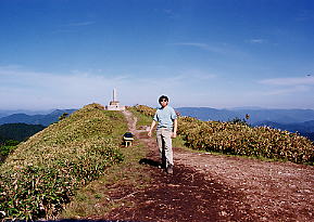 �烖������