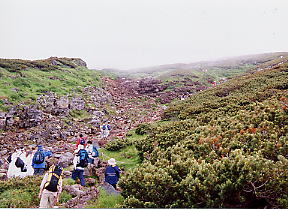 ����o�R��