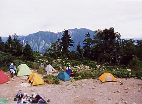 ����R���̃L�����v��