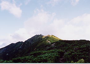 ����ւ̗Ő�