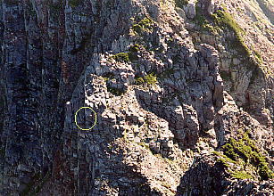 �V��̍���