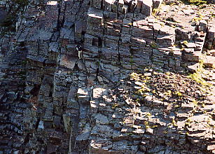 �t�w�X���u