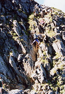 �V��̃R���̍���