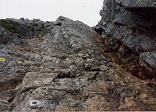 �����[��̍���