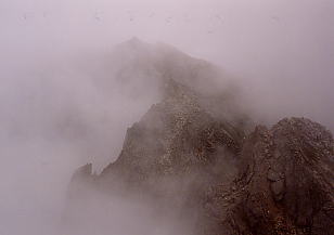 �W�����_�������牜����ʓW�]