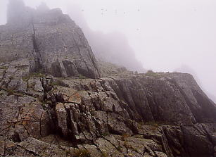 ���o�̎��̃g���o�[�X