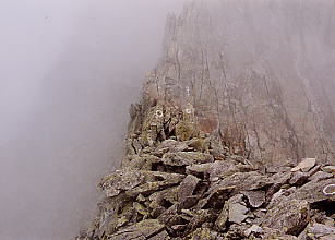 �n�̔w�ւ̊��