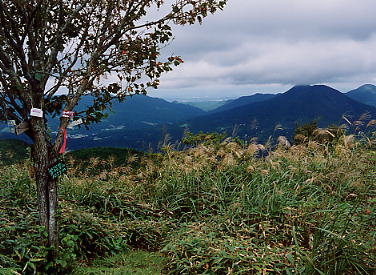 �w�\���R�R��