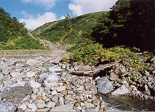 �����n��