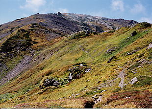 �R�����g���o�[�X