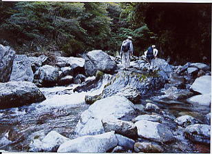 ��������̂��ߑ������B