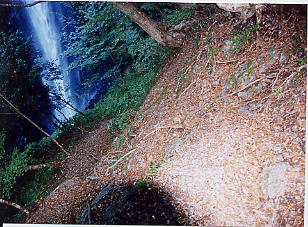 ����̍�������