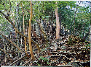 ������o��